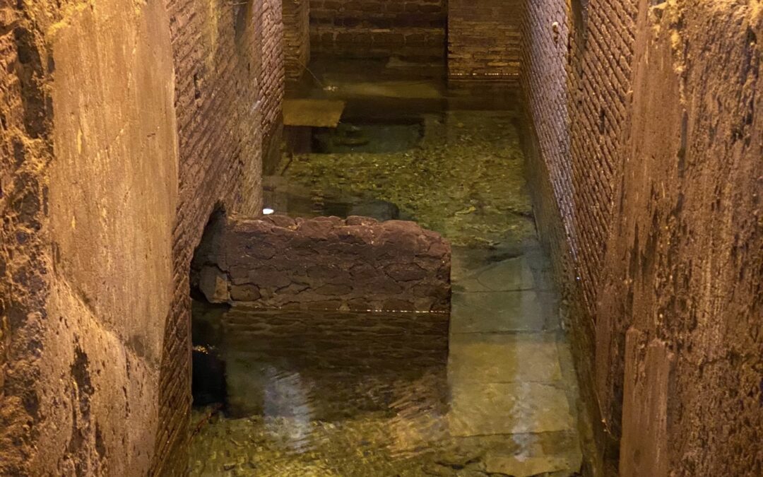 ROMA: CITTA’ DEGLI ACQUEDOTTI